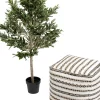 Konstväxt Olive Tree - Olivträd, 120cm - KARE Design