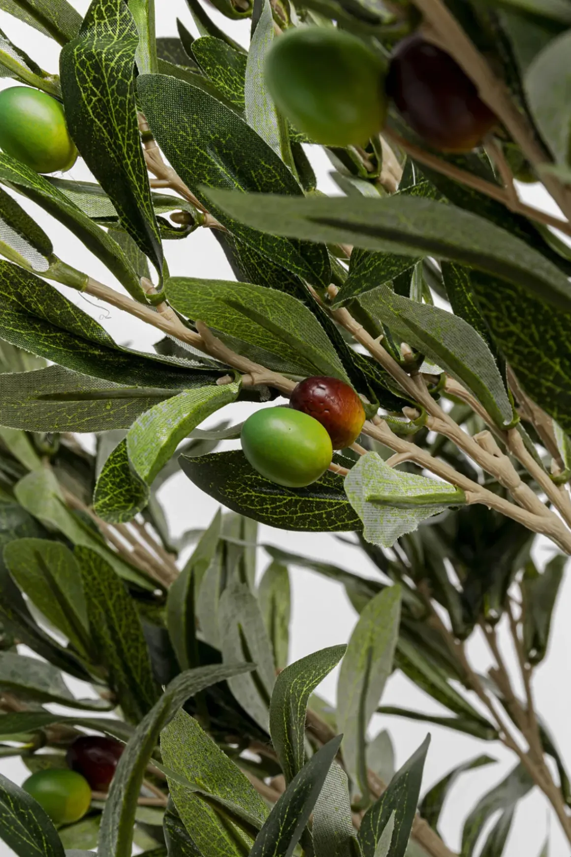 Konstväxt Olive Tree - Olivträd, 120cm - KARE Design