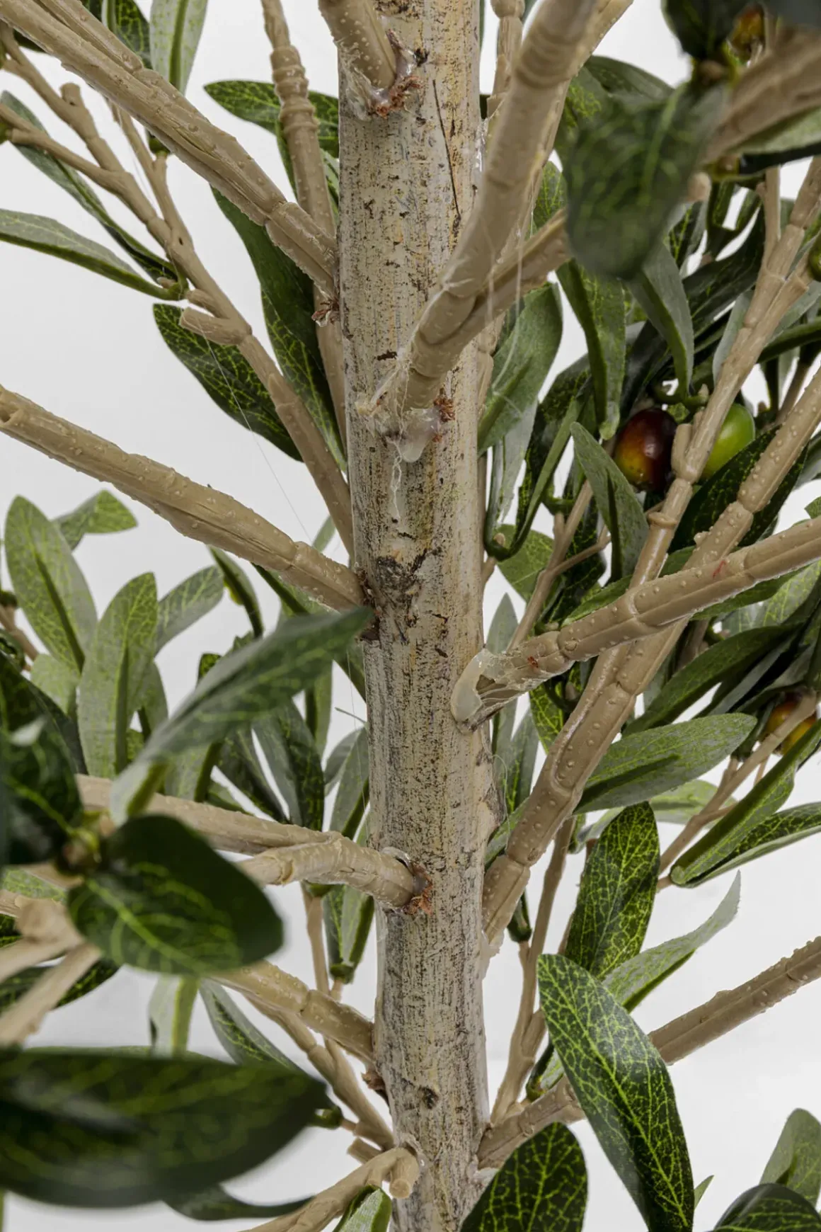 Konstväxt Olive Tree - Olivträd, 120cm - KARE Design