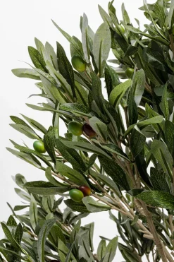Konstväxt Olive Tree - Olivträd, 120cm - KARE Design