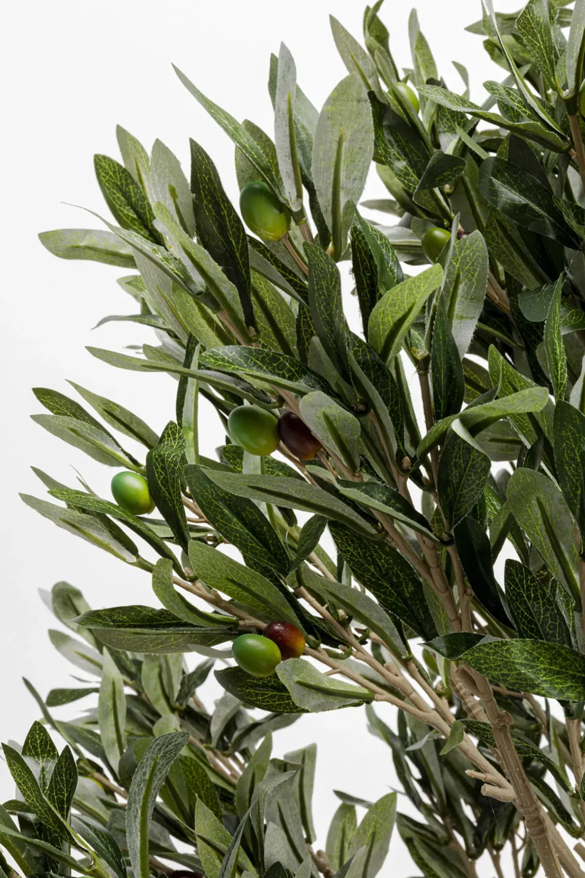 Konstväxt Olive Tree - Olivträd, 120cm - KARE Design