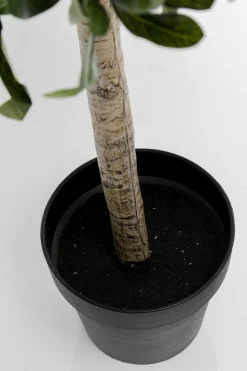 Konstväxt Olive Tree - Olivträd, 120cm - KARE Design