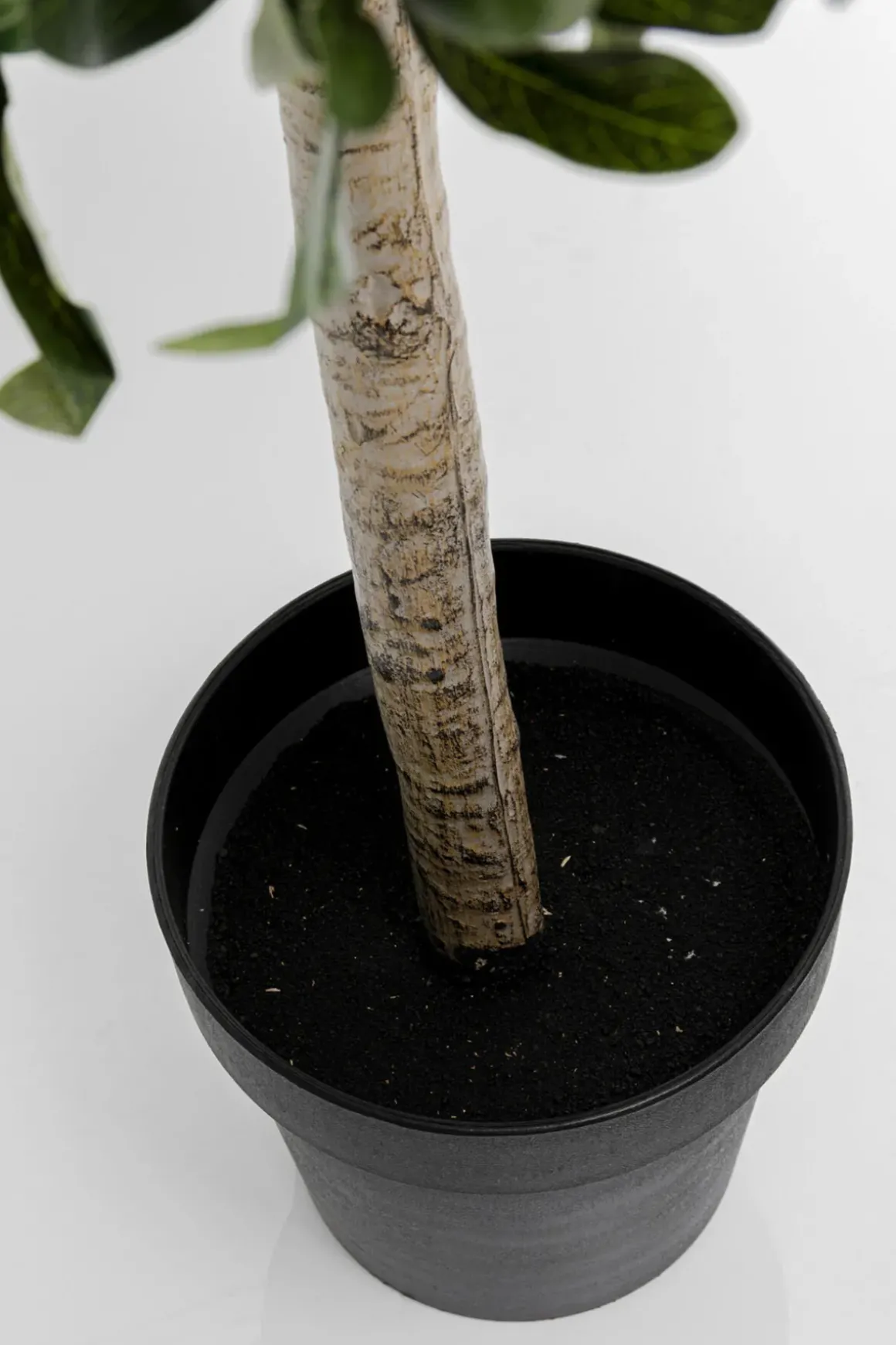 Konstväxt Olive Tree - Olivträd, 120cm - KARE Design