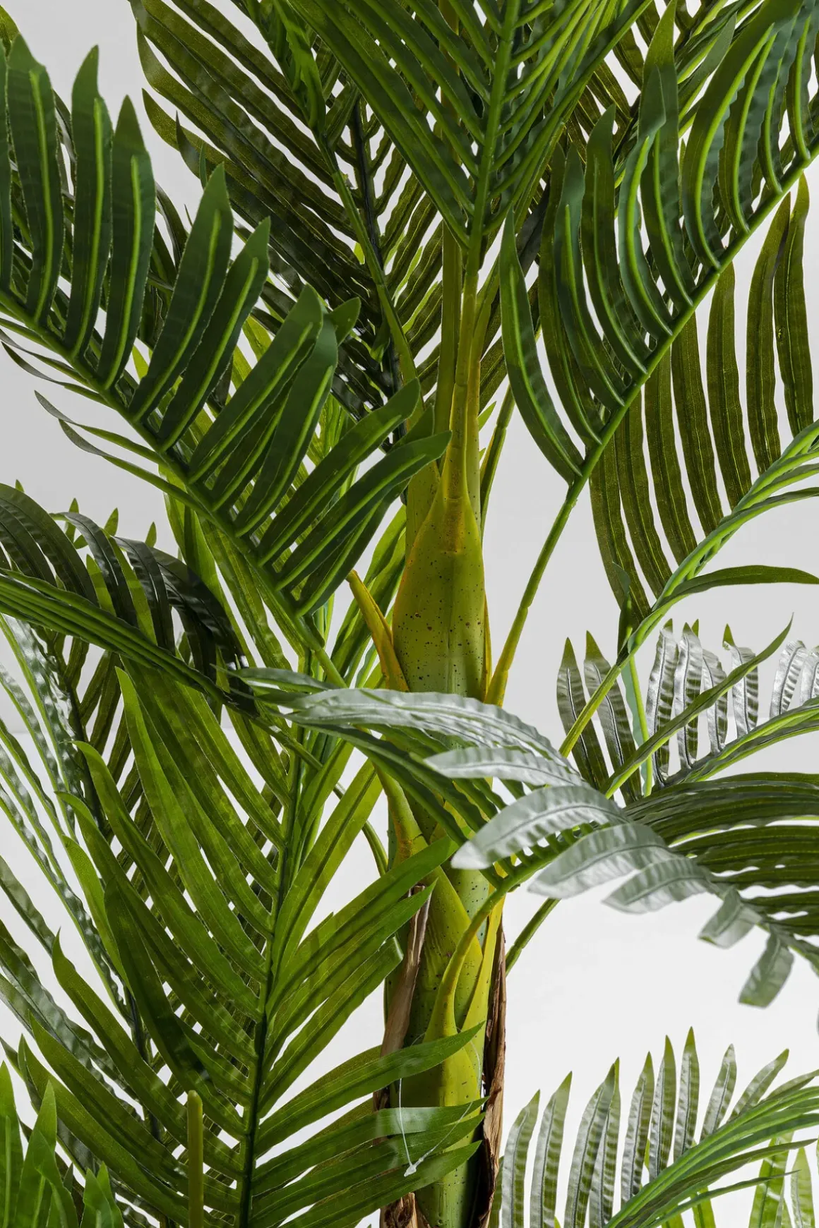 Konstväxt Palm Träd, 190cm - KARE Design