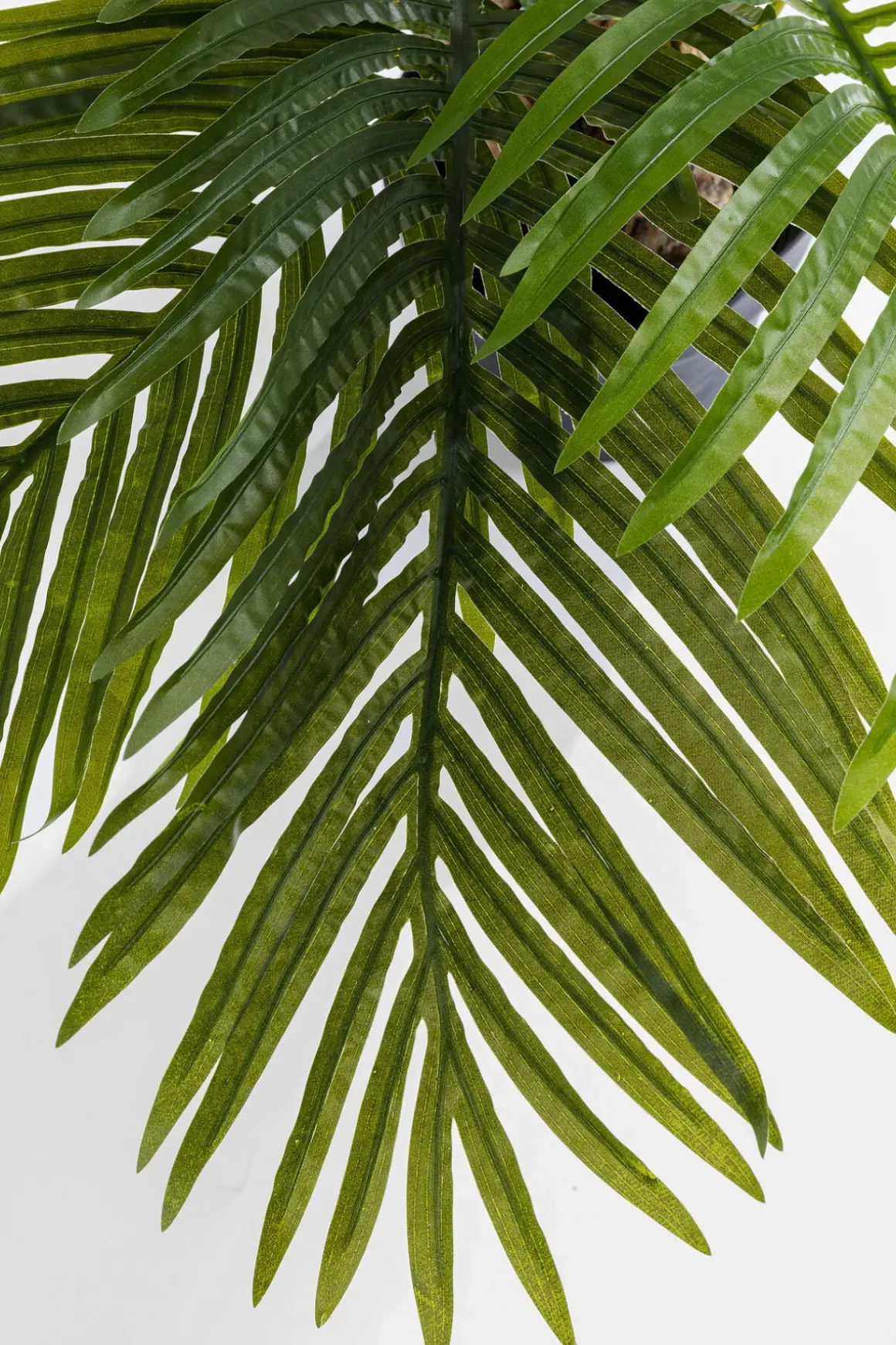 Konstväxt Palm Träd, 190cm - KARE Design