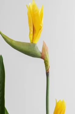 Konstväxt Paradise Flowers - Paradisets Fågelblomma, 190cm - KARE Design