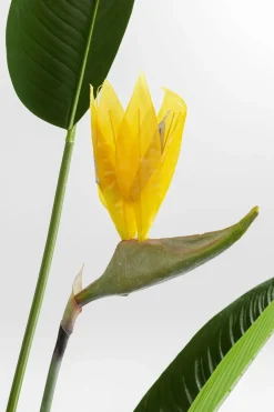 Konstväxt Paradise Flowers - Paradisets Fågelblomma, 190cm - KARE Design