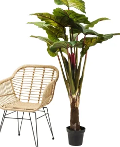 Konstväxt Rainforest, 160cm - KARE Design