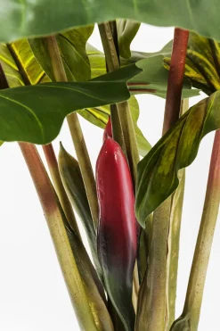Konstväxt Rainforest, 160cm - KARE Design