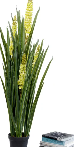 Konstväxt Rhynchostylis - Rävsvansorkidé, 150cm - KARE Design