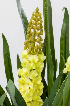 Konstväxt Rhynchostylis - Rävsvansorkidé, 150cm - KARE Design