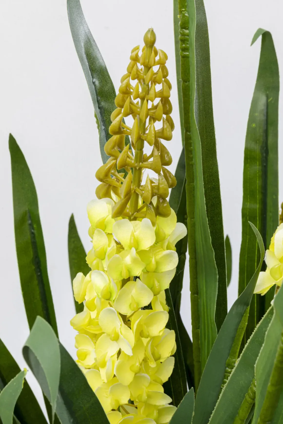 Konstväxt Rhynchostylis - Rävsvansorkidé, 150cm - KARE Design