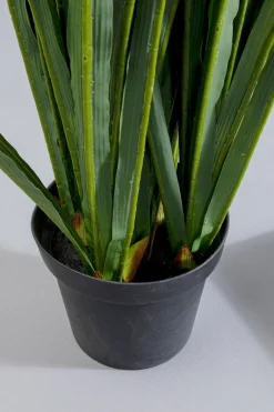 Konstväxt Rhynchostylis - Rävsvansorkidé, 150cm - KARE Design