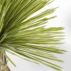 Konstväxt Yucca - 180cm - KARE Design