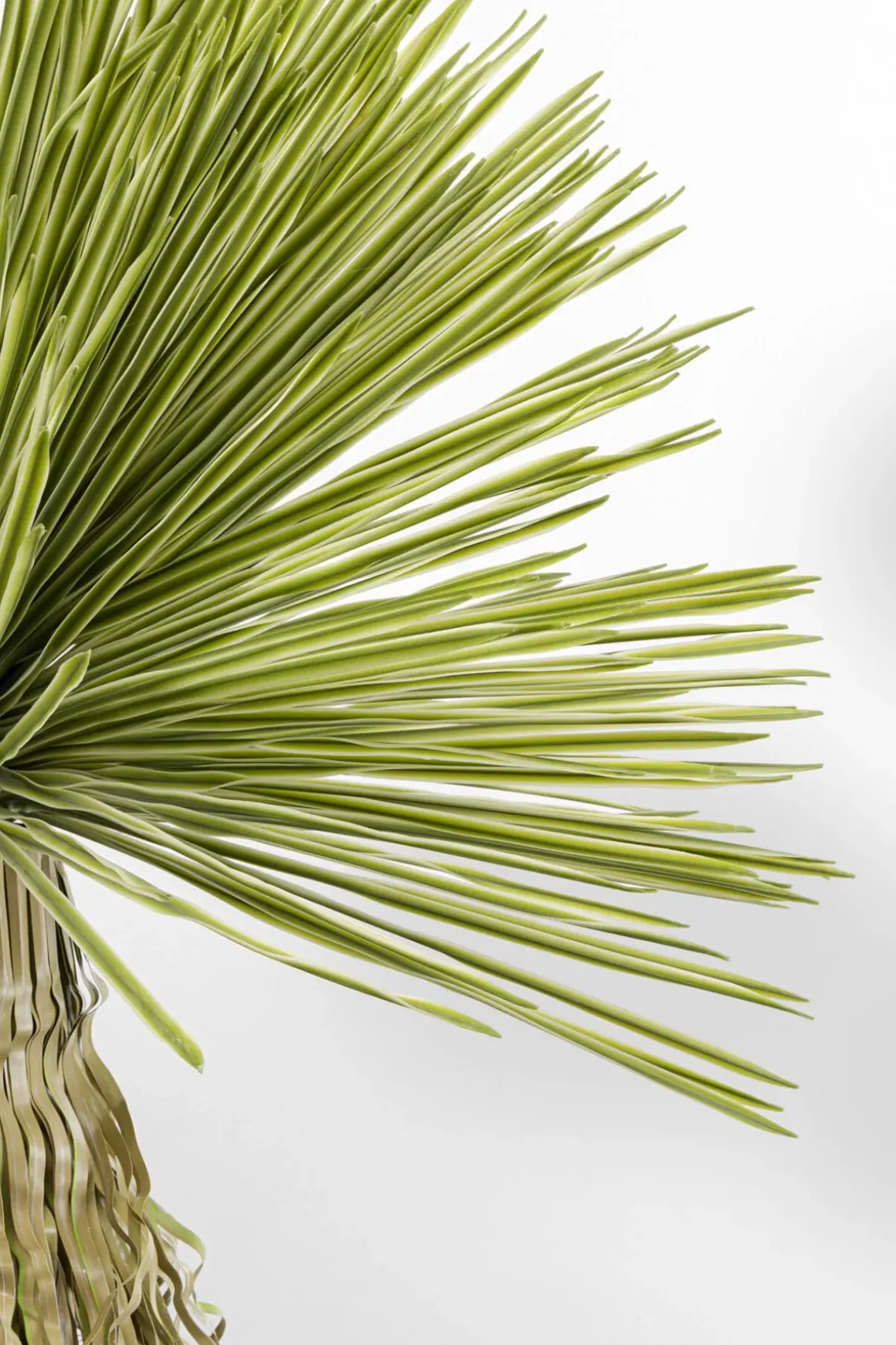 Konstväxt Yucca - 180cm - KARE Design