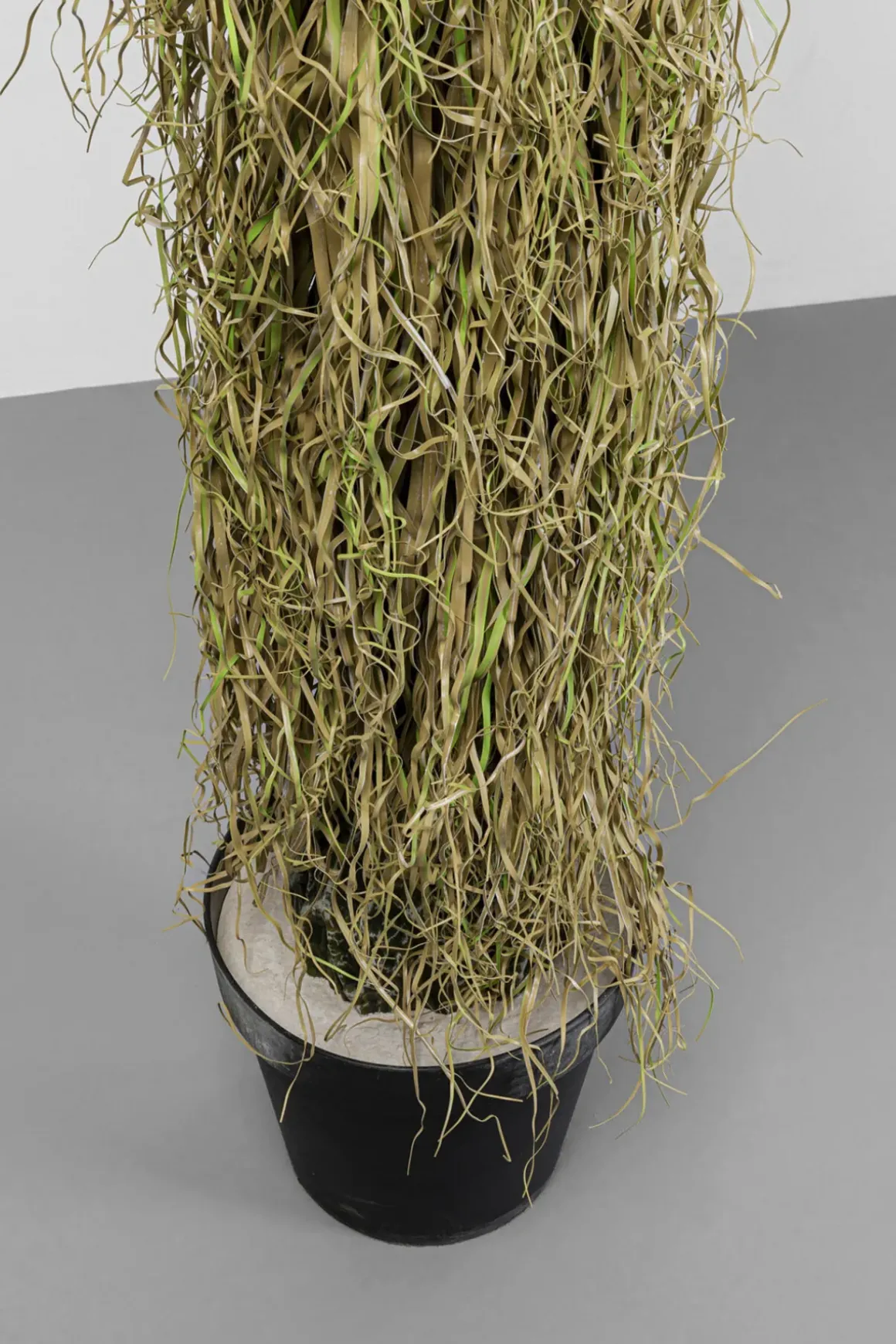 Konstväxt Yucca - 180cm - KARE Design