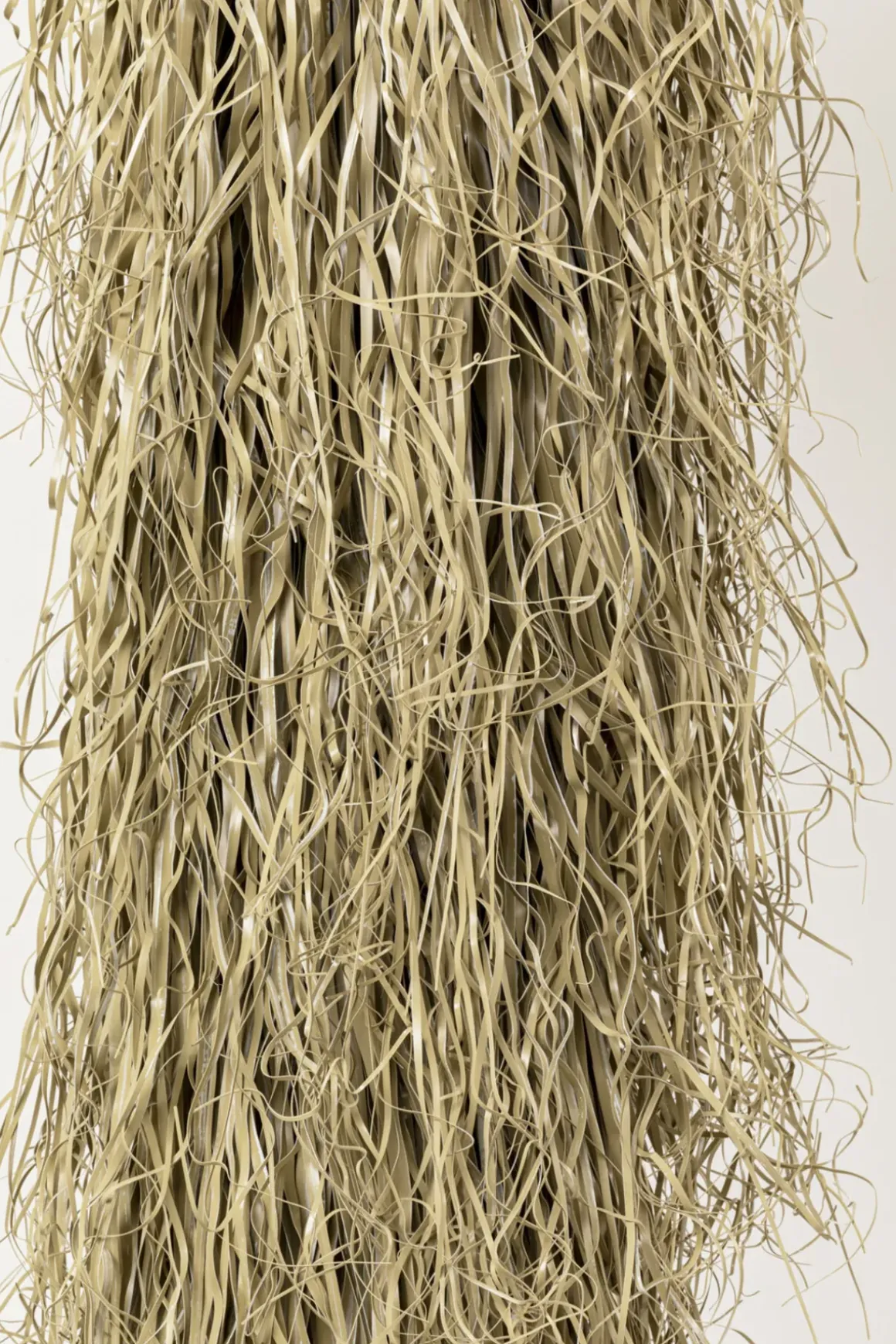 Kostväxt Yucca Rostrata, 240cm - KARE Design