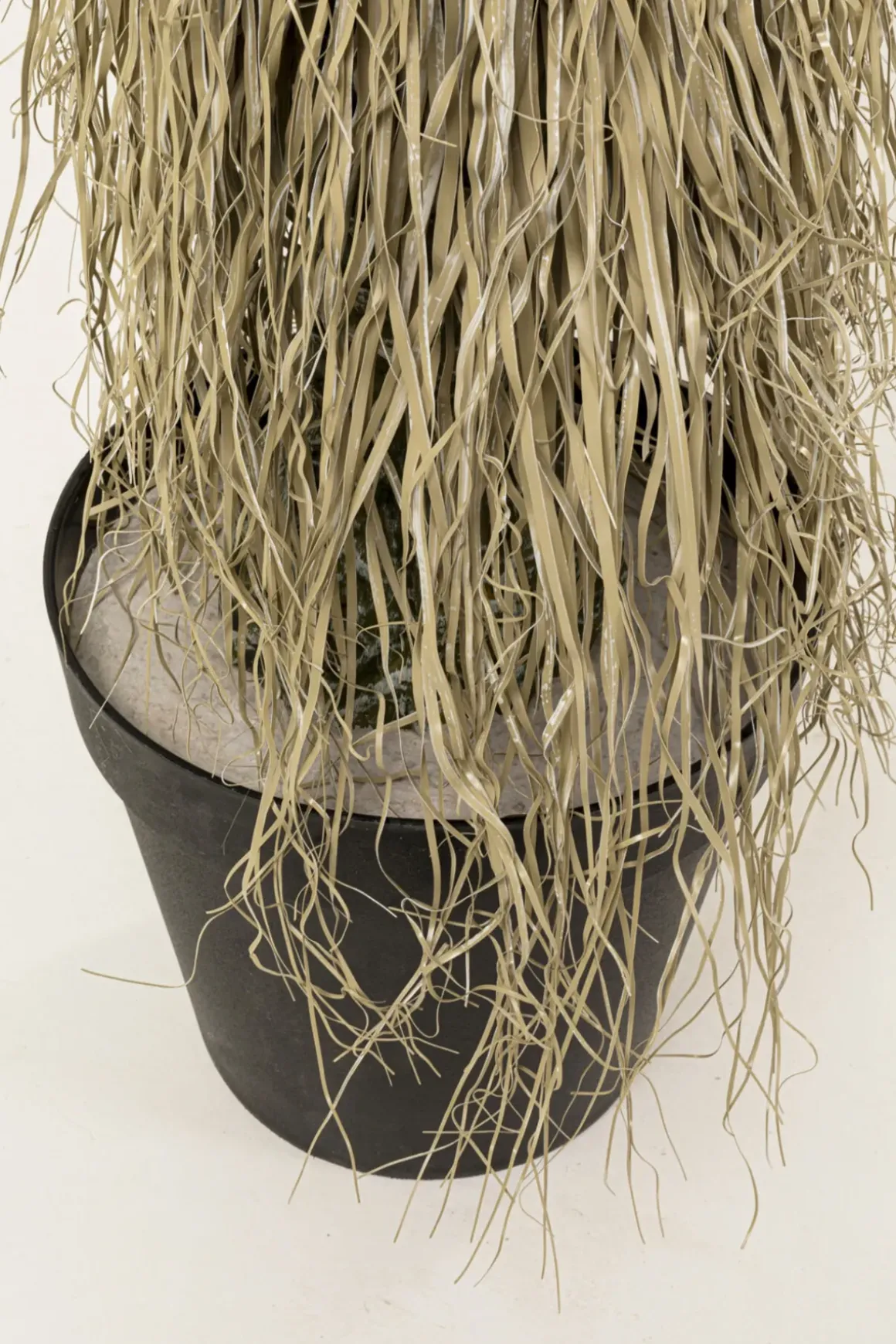 Kostväxt Yucca Rostrata, 240cm - KARE Design