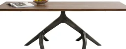 Matbord Roots - Massiv Valnöt/Grå, 220x100cm - KARE Design