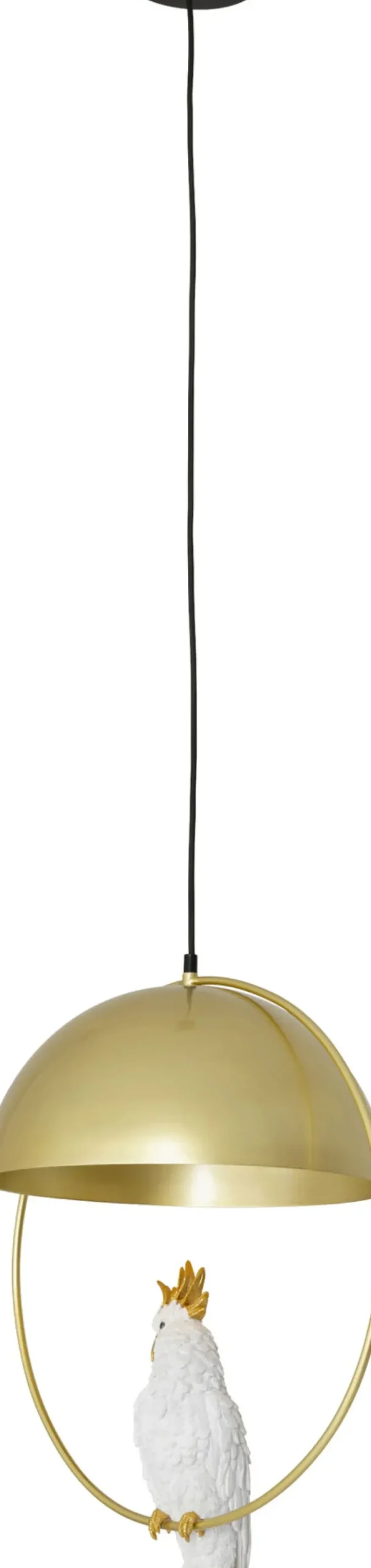 Pendel Cockatoo - Taklampa med Kakadua/Mässingsfinish - KARE Design