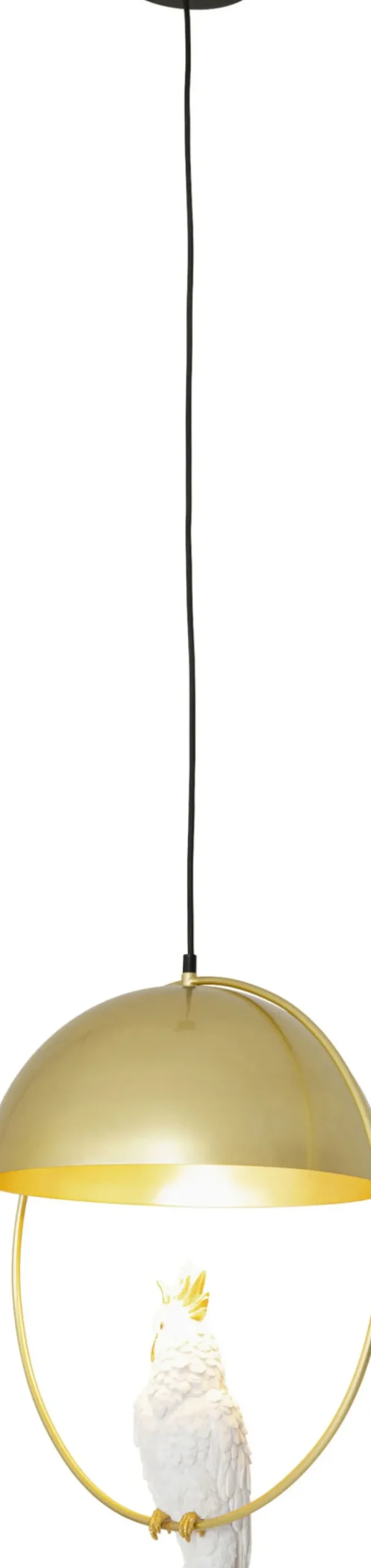 Pendel Cockatoo - Taklampa med Kakadua/Mässingsfinish - KARE Design