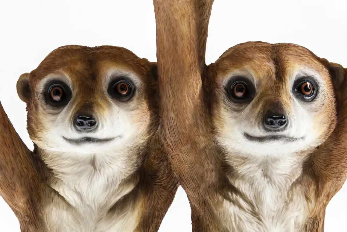 Sidobord Animal Meerkat Sisters - Syrikat, Ø33cm - KARE Design