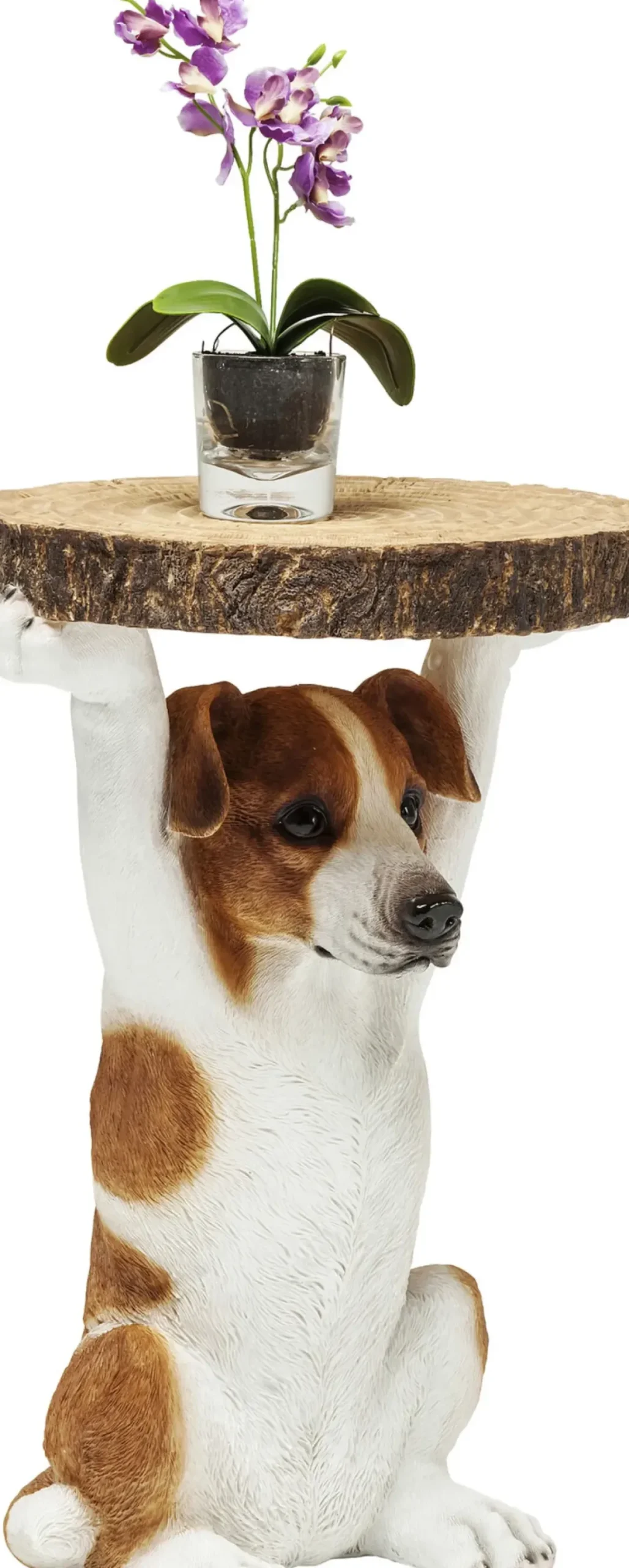 Sidobord Animal Mr Jack - Bord med Hund, Ø33cm - KARE Design