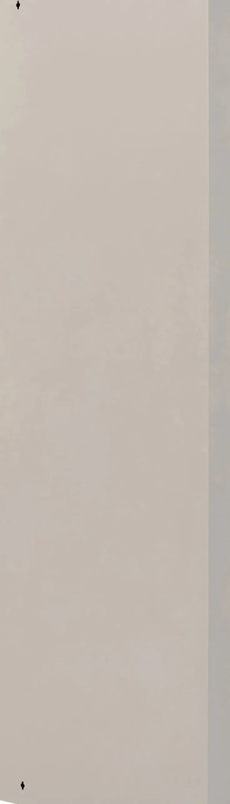 Skoskåp Caruso - Cream, 173x50cm - 5 lådor - KARE Design