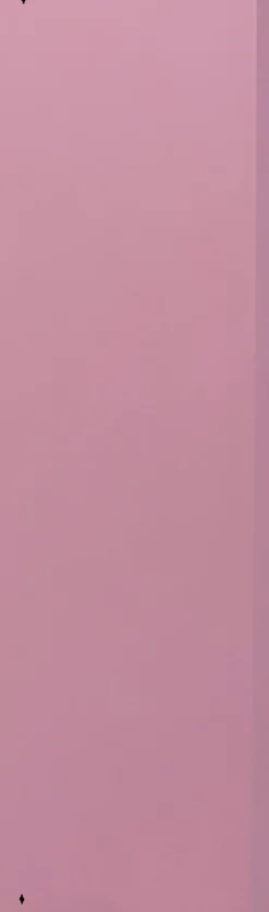 Skoskåp Caruso - Rosa, 170x50cm - 5 lådor - KARE Design
