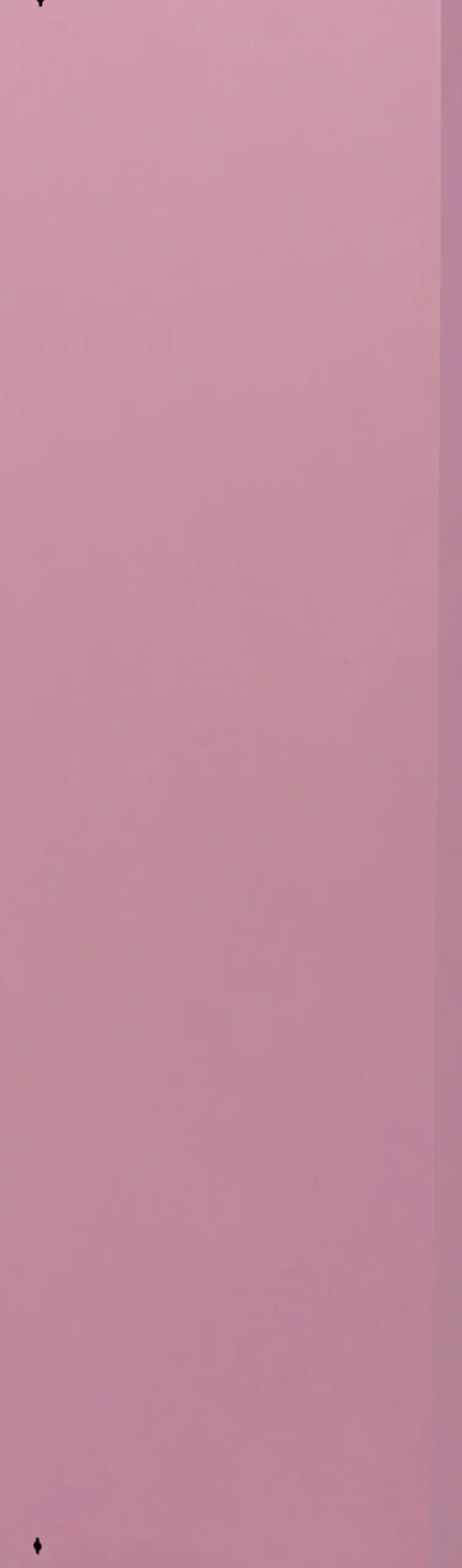 Skoskåp Caruso - Rosa, 170x50cm - 5 lådor - KARE Design