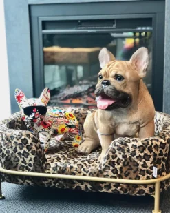 Skulptur Comic Dog Glasses - KARE Design