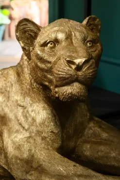 Skulptur Lion Gold - Dekor Guld Lejon, 113cm - KARE Design