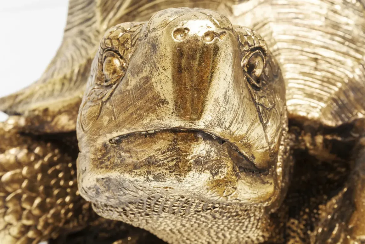 Skulptur Turtle - Dekor Sköldpadda Guld, 95cm - KARE Design