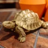 Skulptur Turtle - Dekor Sköldpadda Guld, 26cm - KARE Design