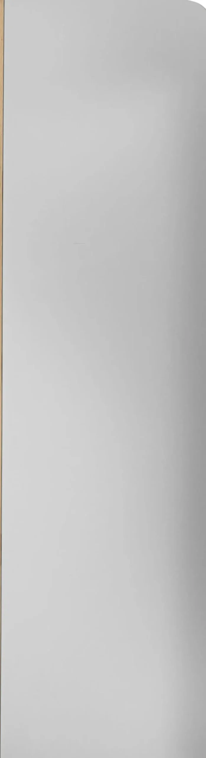 Spegel Cleo, 200x70cm - KARE Design