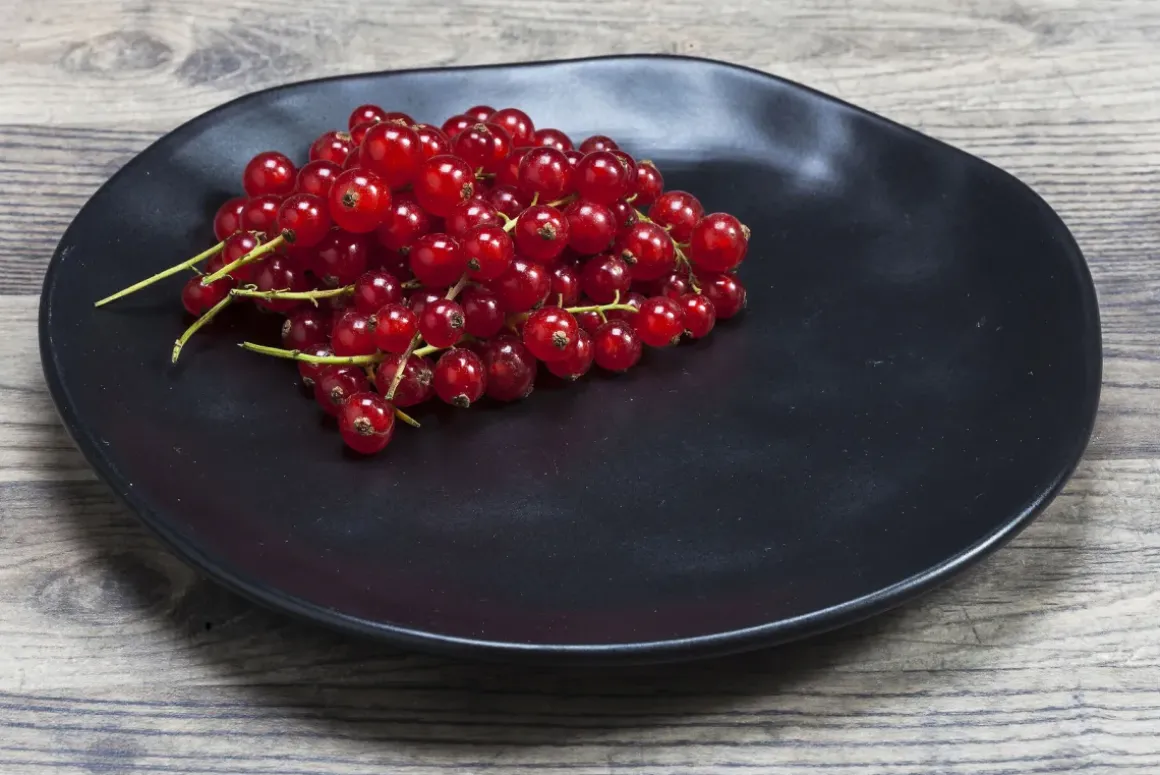 Tallrik Organic - Stengods Svart Ø20cm - KARE Design
