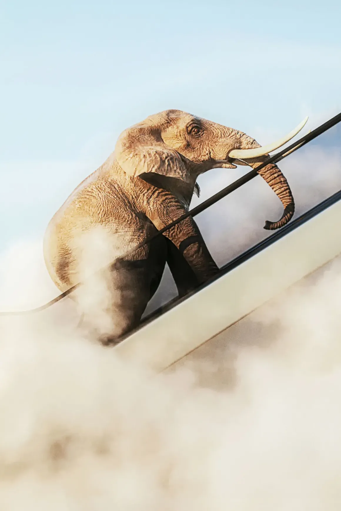 Tavla Elephant In The Sky - Elefant, 150x100cm - KARE Design