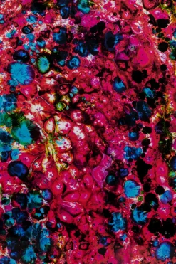 Tavla Wild Berries, 205x125cm - KARE Design