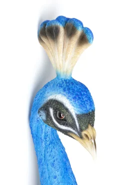 Väggdekoration Peacock - KARE Design