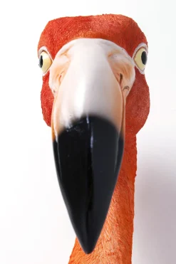 Väggdekor Flamingo Road - Dekorativ Skulptur för Vägg, 72cm - KARE Design