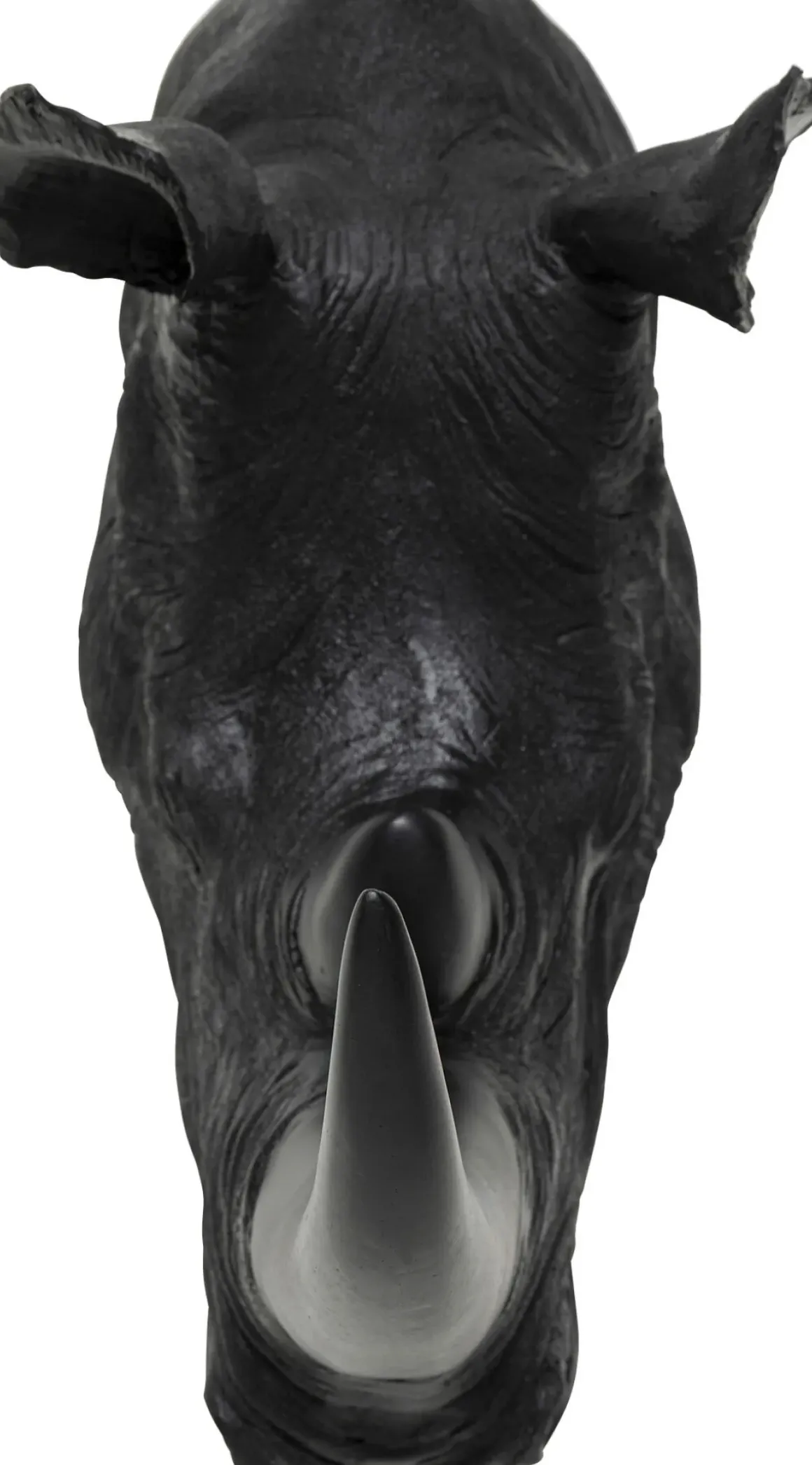 Väggdekor Rhino Trofé - KARE Design