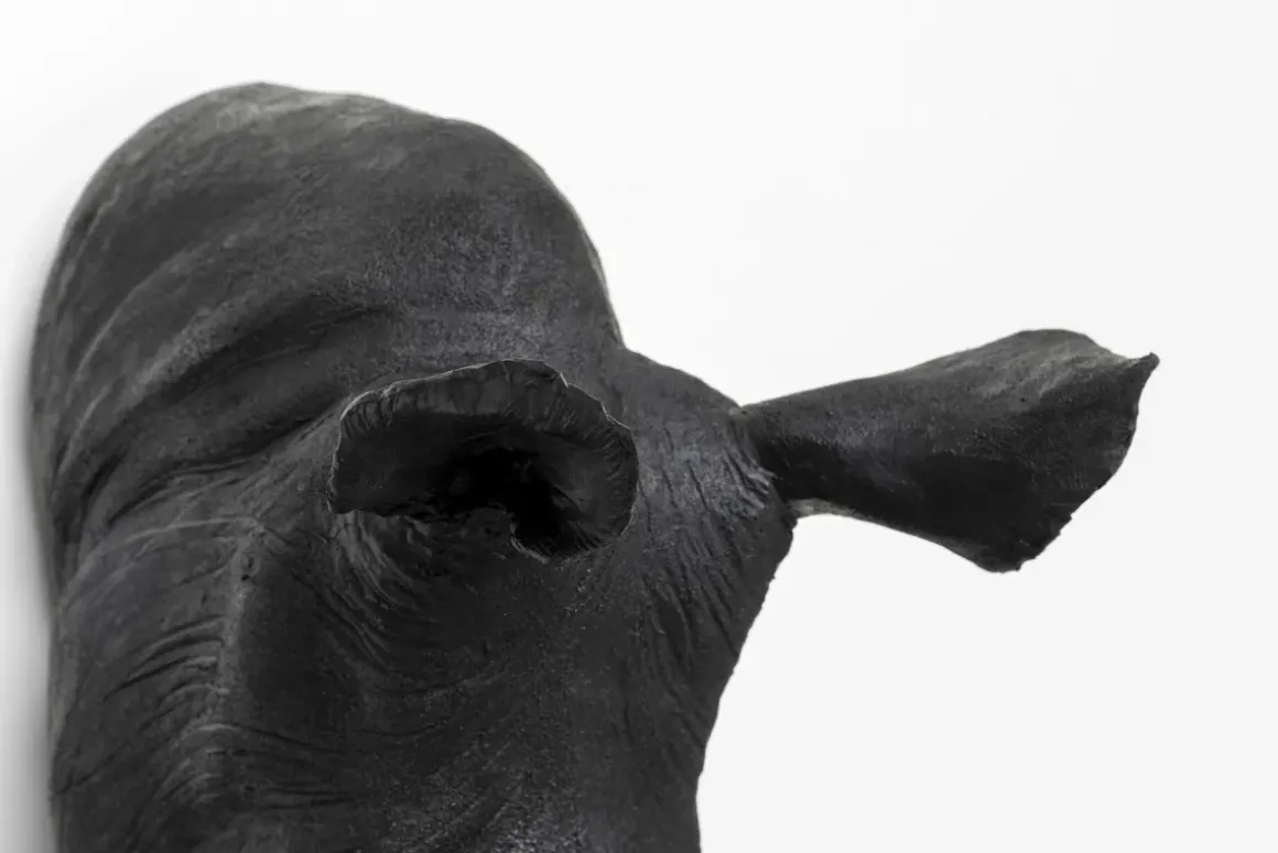 Väggdekor Rhino Trofé - KARE Design